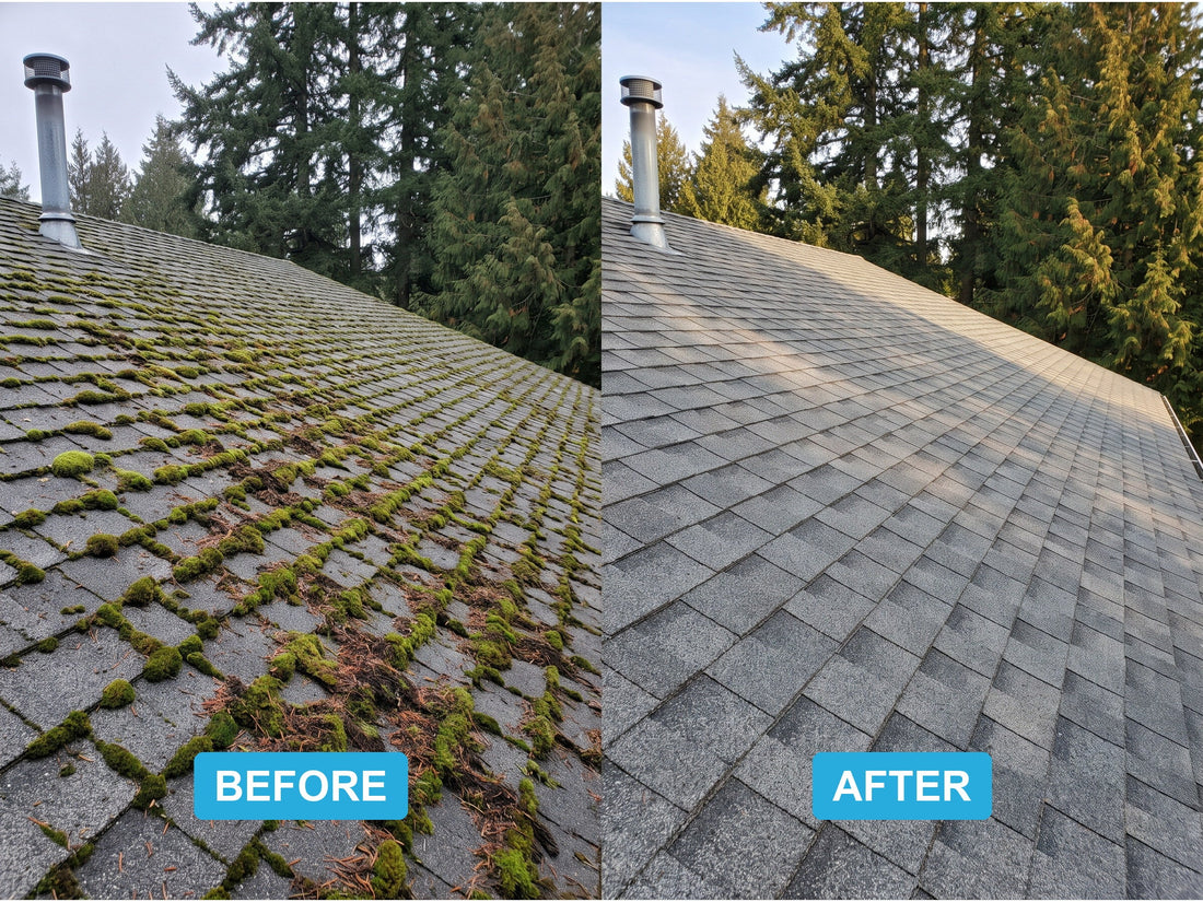 Roof before and after cleaning