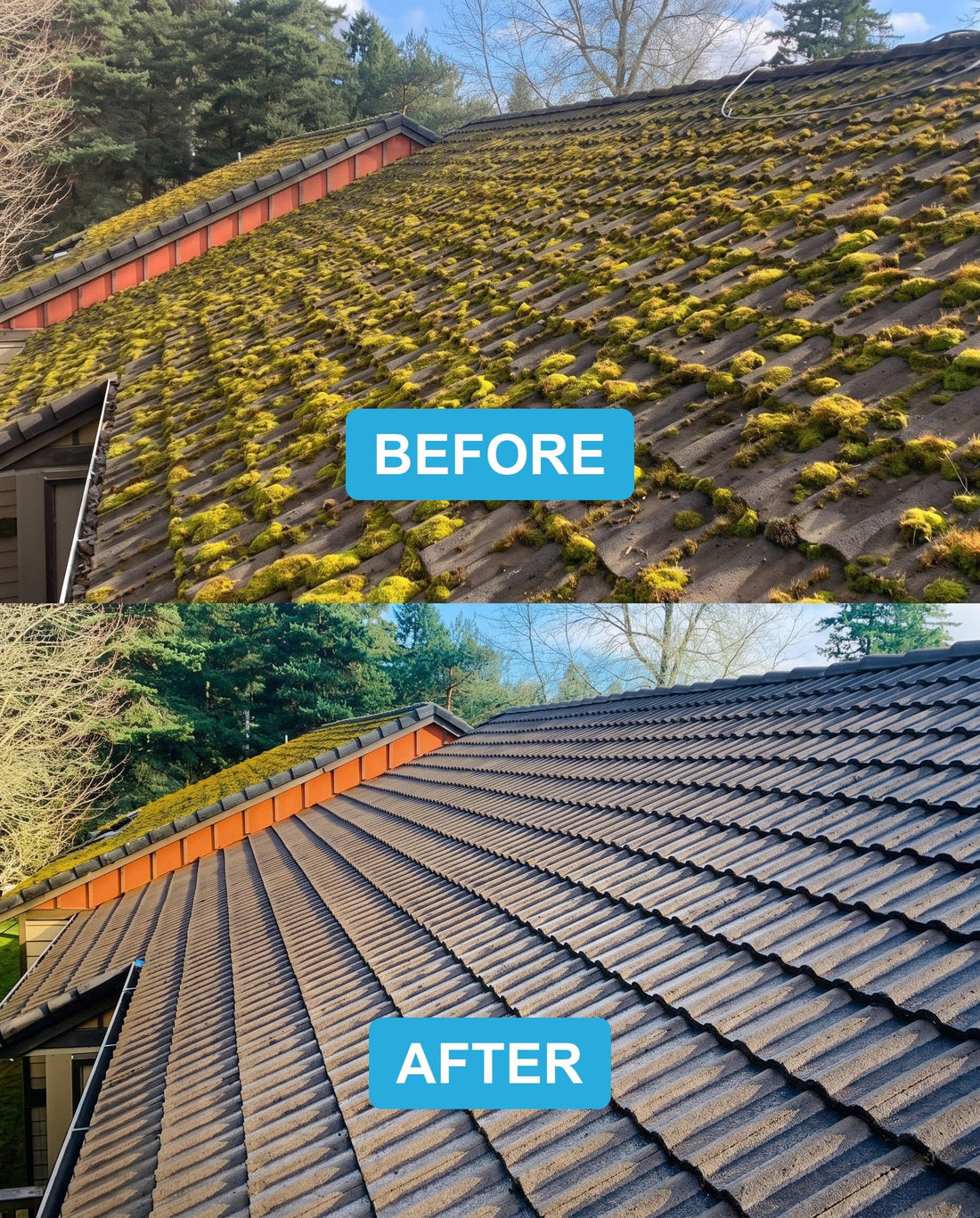 Roof before and after cleaning