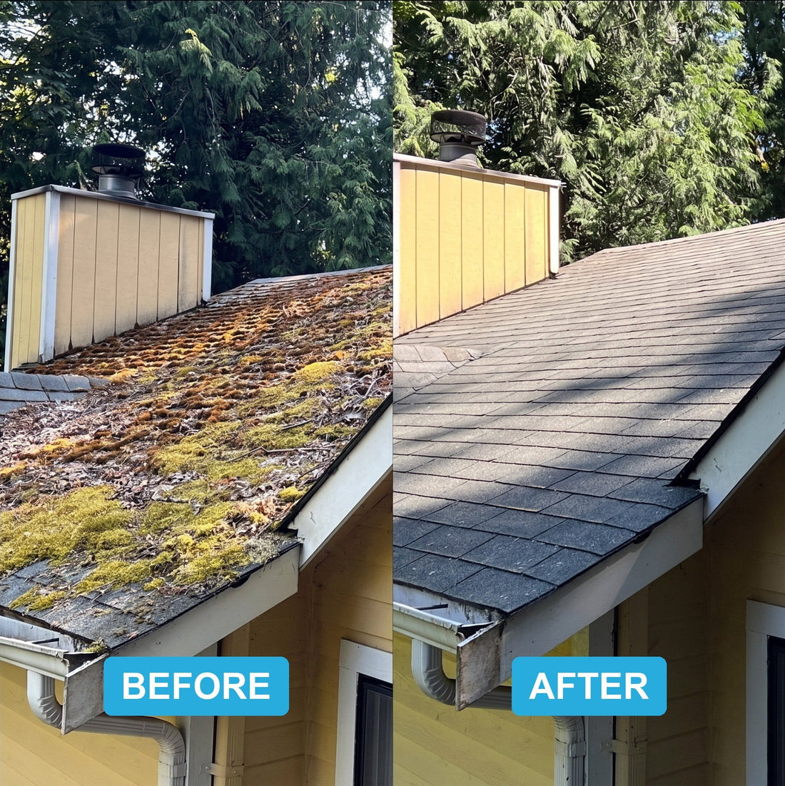 Roof before and after cleaning