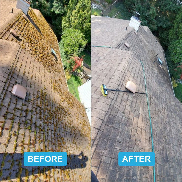 Roof before and after cleaning