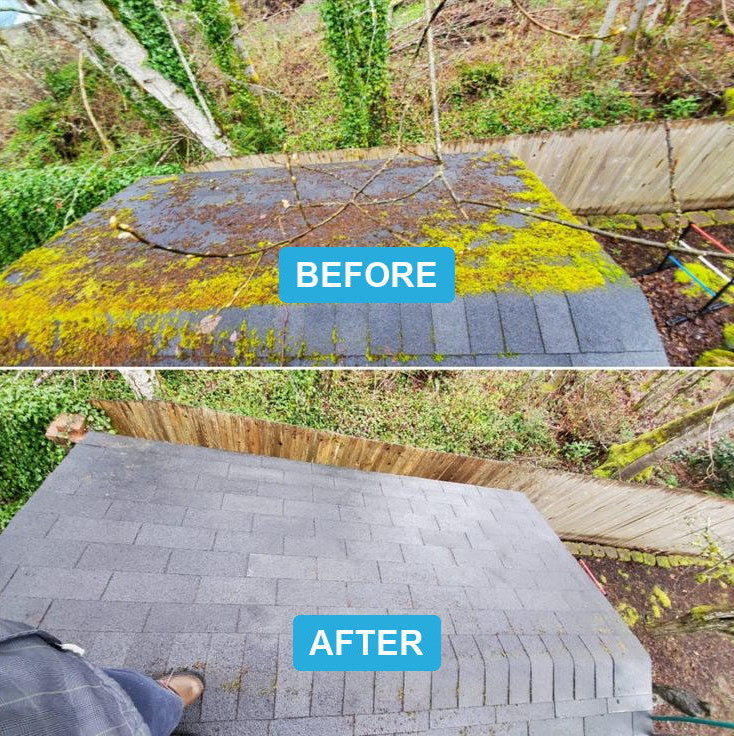 Roof before and after cleaning